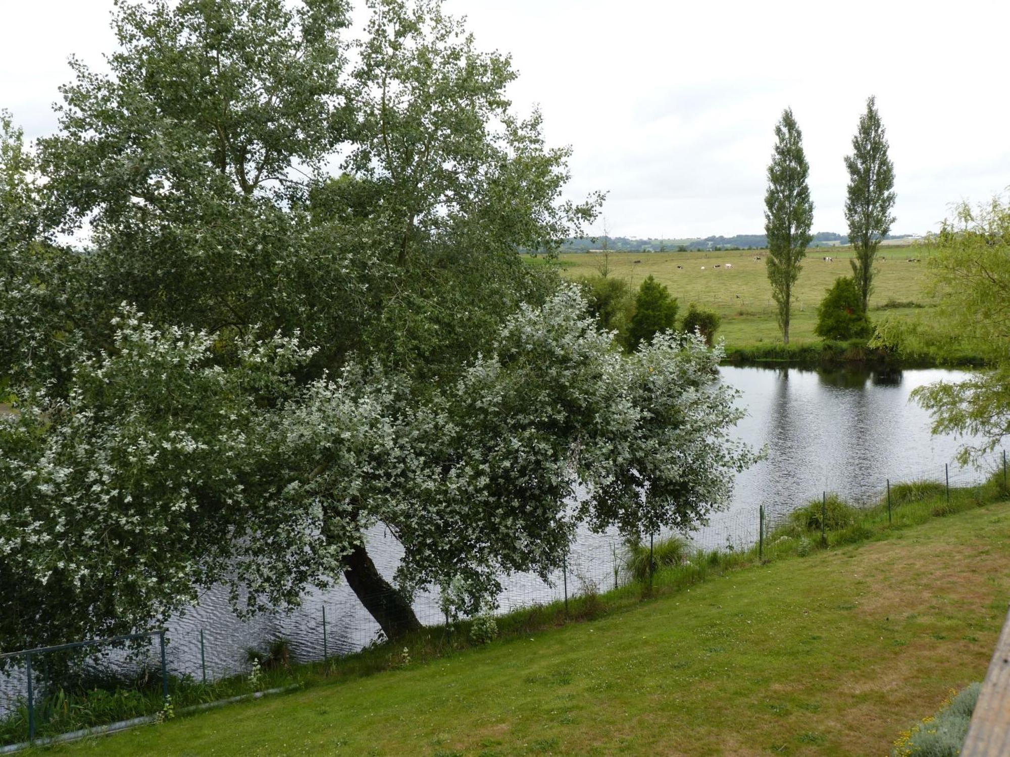Gites De La Haie Plouegat-Moysan Exterior photo